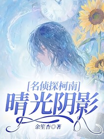 名侦探柯南：晴光阴影