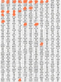 同人文（杂圈）