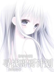 凹凸世界：寻找哥哥计划