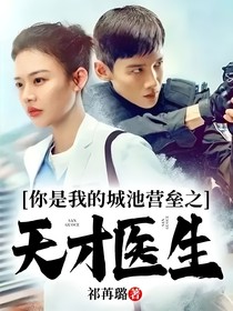 你是我的城池营垒之天才医生