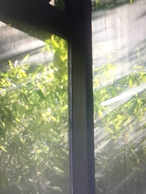 朝雪录：屿麒