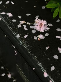 重启旧梦