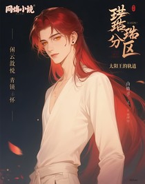 琥珀禁区：太阳王的轨迹