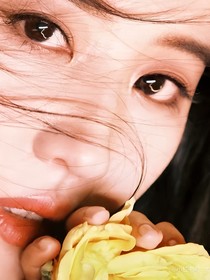 綜影視之愛你一如繼往
