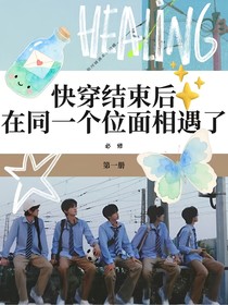 TOP登陸少年：快穿結(jié)束后在同一個(gè)位面相遇了