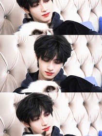 TOP：我家小貓她又嬌又軟