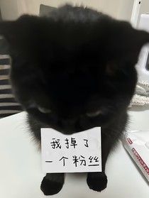 被閨蜜扛下樓后（校園GL）