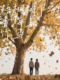 梧桐樹下的青梅與竹馬
