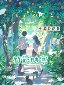 竹影映寒