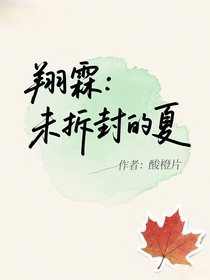 翔霖：未拆封的夏