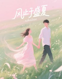 風止于盛夏