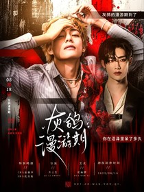 灰鴿漫游期