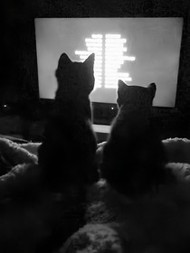 羅馬假日