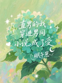 直男的我穿進(jìn)男同小說成了受