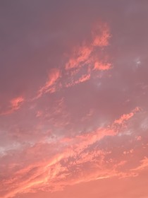 沉默的标本师