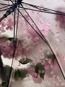 热吻湿欠