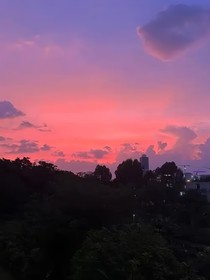 開聯(lián)：望我塵希封