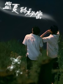 盛夏的秘密文轩
