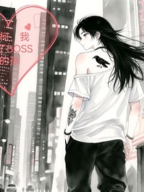 名柯：我成了BOSS的孫