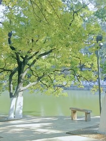 第七十二頁(yè)的盛夏