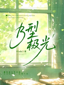 Beta型极光