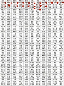 同人文（雜圈）