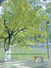第七十二頁(yè)的盛夏
