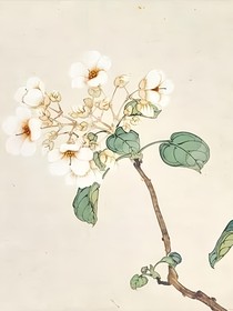 少年歌行：梨初