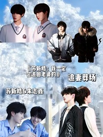 蘇新皓：我一定會(huì)追回老婆的
