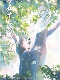停在十七歲的雨季