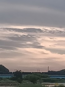 你是海的花