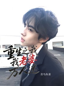重生之我老婆萬人迷