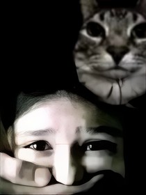 发簪i
