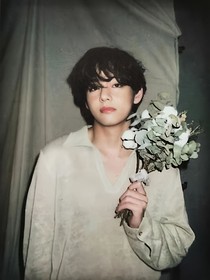 韓娛：笨蛋美人