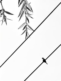 發(fā)瘋短篇