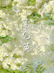 dandelion蒲公英