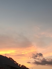 無岸之花
