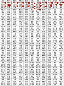 同人文（杂圈）