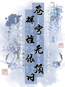 蒼穹無頂輝煌依舊（家教）