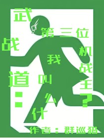 武戰(zhàn)道：什么叫我是第三位機(jī)戰(zhàn)王？