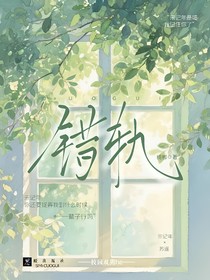 错轨：双男主