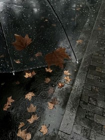 霜燈照晚