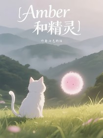 amber和精靈