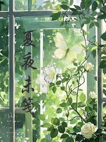 夏夜未笺