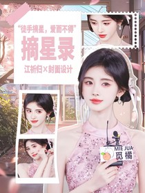 男性向：摘星錄