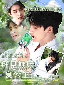 敖瑞鵬：拜見無盡夏公主