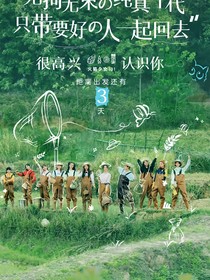 夏日甜星图鉴