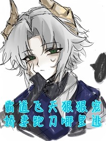 霸道飞天狠狠宠，娇妻跑刀哪里逃