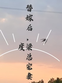 替嫁后，梁總寵妻無度