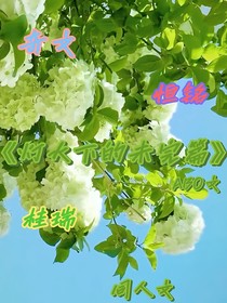 燈火下的未完篇，麻將桌加恒銘
